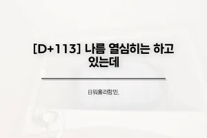 썸네일