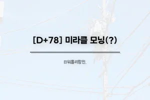 썸네일